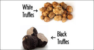 Black Truffles vs White Truffles