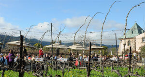 Peju Winery