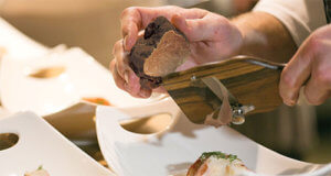 Truffle Lobster Taco