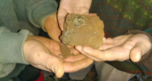 The monster 380g truffle worth around $900