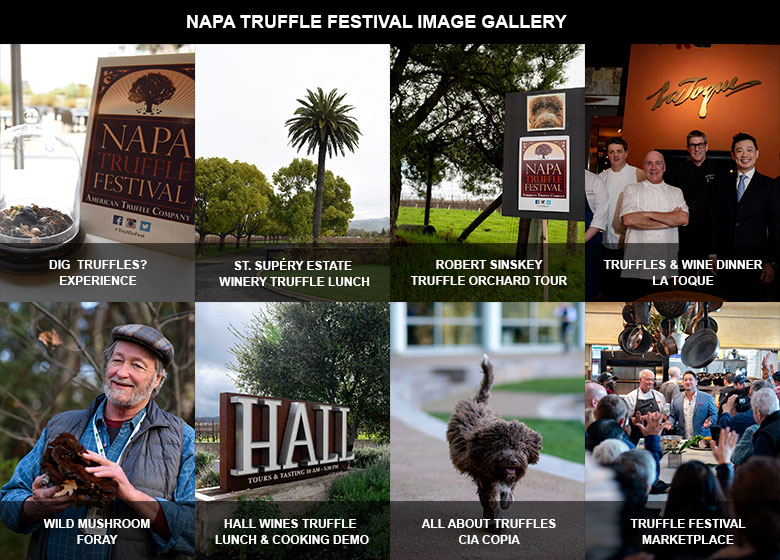 Check out photo gallery of the 9th Annual Napa Truffle Festival