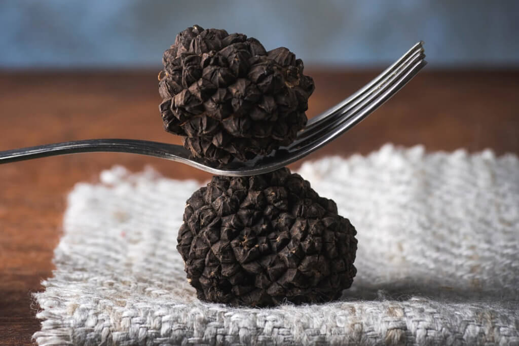 Schedule Napa Truffle Festival